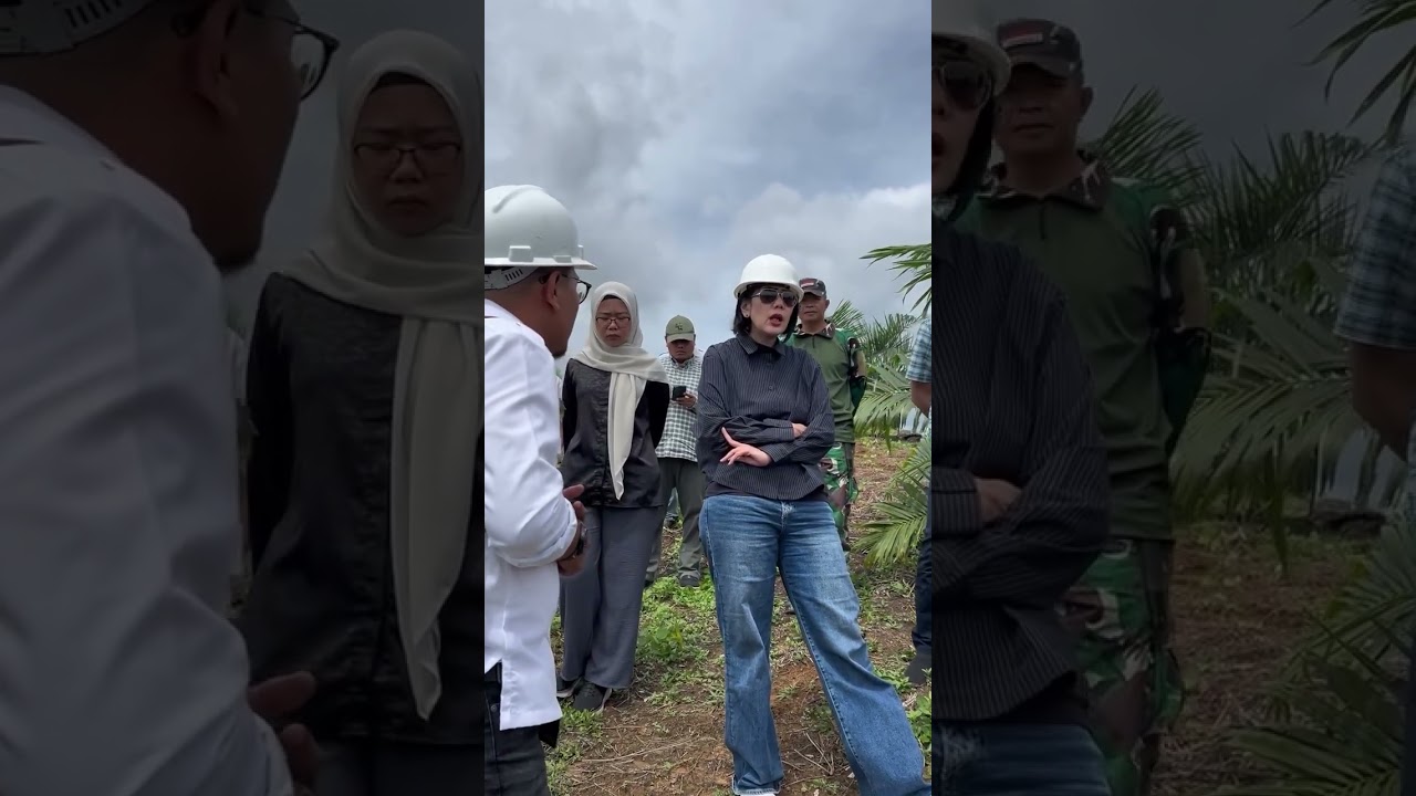 Kunjungan Kerja Direktur Keuangan dan Manajemen Risiko PTPN IV PALMCO