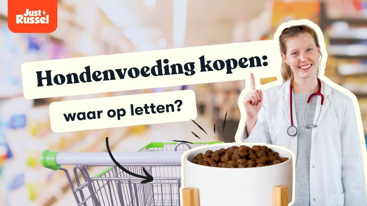 Hondenvoeding kopen waar op letten?