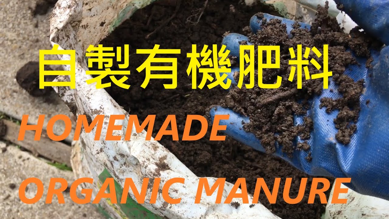 自製有機肥料 2 How To Make Super Organic Juice For My Plants Youtube