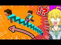 【は？】見たら病気になりそうな理解不能すぎるマインクラフト【マイクラ・Minecraft】