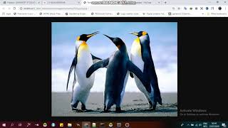 aplikasi travel berbasis php screenshot 4