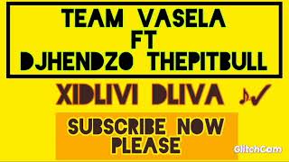 Xidlivi Dliva Team Vasela Djhendzo The Pitbull