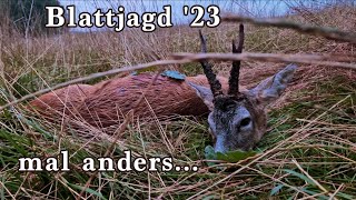 Blattjagd 2023- Schlechtwetterjagd auf einen starken Bock