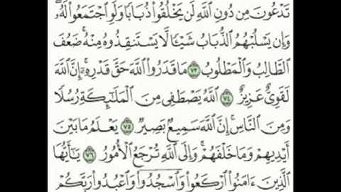 ما تيسر من سورة الحج [ ٧٣ - ٧٧ ] بصوت القارئ الشيخ/#عبدالله_الشهري ، صلاة العشاء ١٩ / ١٠ /١٤٣٧هـ