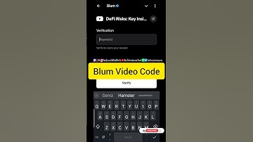 DeFi Risks Key Insights Blum Video Code