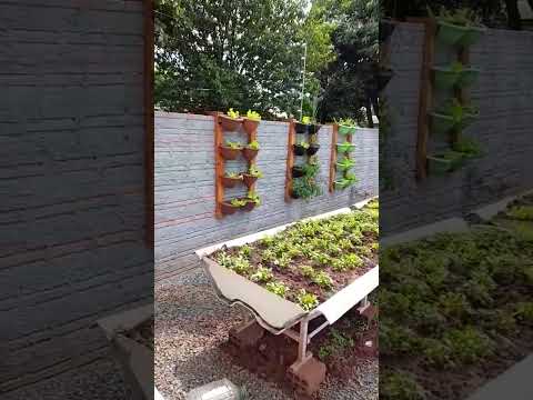 Vídeo: Ideias de Projetos de Clubes de Jardinagem: Ideias para Projetos de Hortas Comunitárias