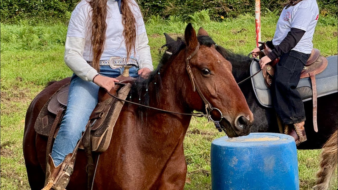 Alla Scoperta del Mondo dei Cavalli 🐎 Equitazione, Razze e Prime Esperienze in Sella!
