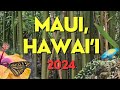 Maui Hawaii 5 MUST SEE spots & things to do for nature lovers! #maui #hawaii