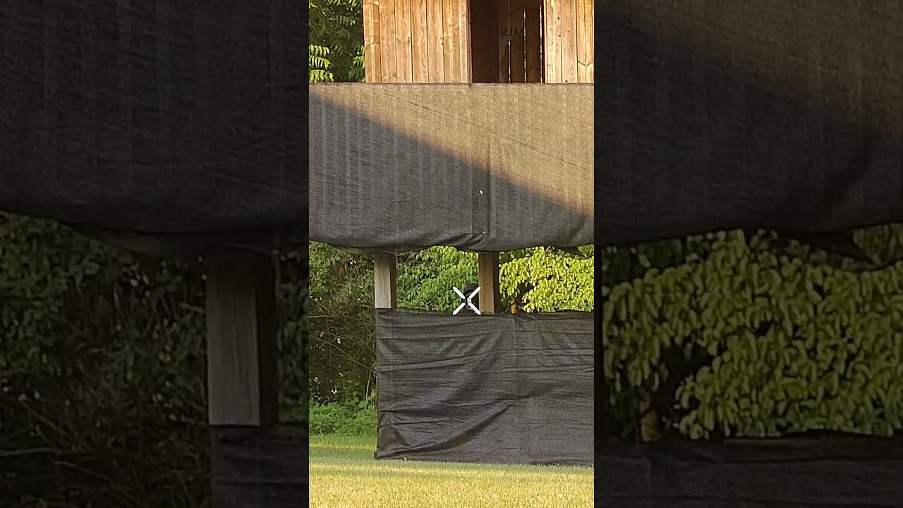 50 Meter SNIPE! My Best Snipe Yet! 