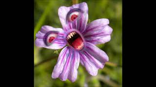 Flowers   Psychedelic Furs cover by BipTunia