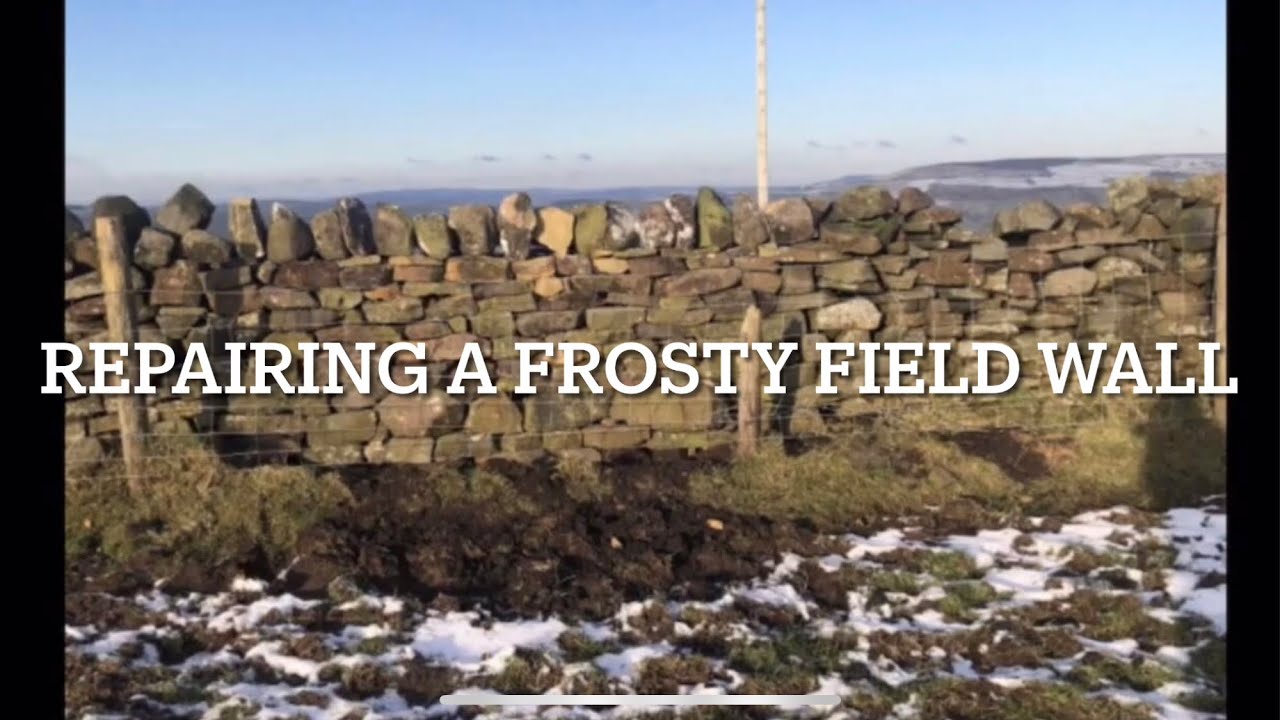 Dry Stone Walling - Repairing a frosty field wall (Time Lapse) - YouTube