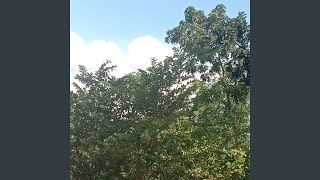 kita pernah punya cinta