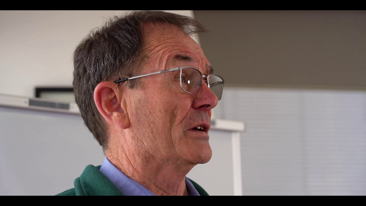 How much Dog Food should I feed my Dog? | PART 1