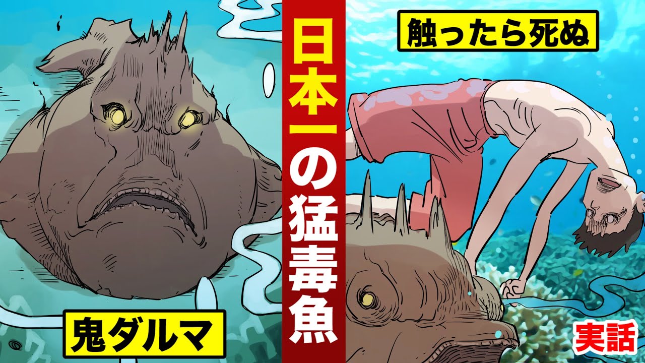 実話 日本一の猛毒魚 オニダルマオコゼ 触ったら死ぬ Youtube 実話 日本一の猛毒魚 オニダルマオコゼ 触ったら死ぬ Youtube