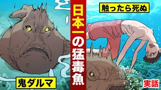 実話 日本一の猛毒魚 オニダルマオコゼ 触ったら死ぬ Youtube