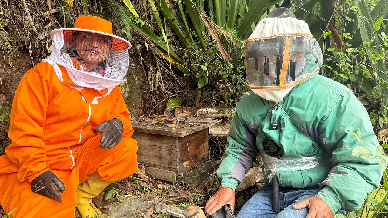 ¡Abrimos una Colmena Olvidada por Años! Esto Encontramos 😱🐝