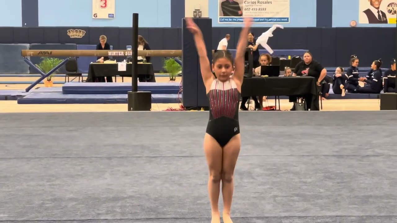 My floor routine level bronze floor