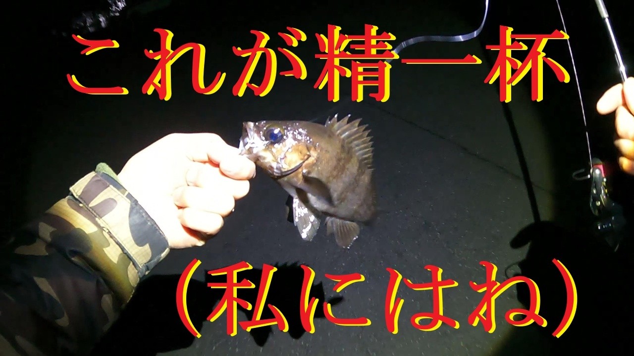 2026年2月 三陸 岩手 久しぶりの釣り　メバリング