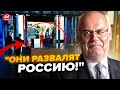 🤡Естонія ДОВЕЛА Z-пропагандистів до ІСТЕРИКИ у ПРЯМОМУ ЕФІРІ! В студії ПАНІКА