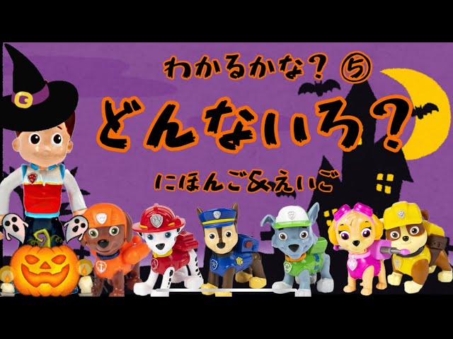 にほんご&えいご パウパトロール 色のなまえぜんぶわかるかな？Let's