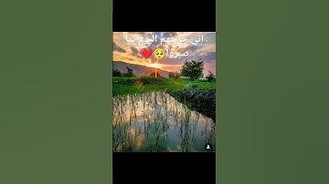 اني جزيتهم اليوم بما صبروا #إسلام_صبحي #تلاوة_هادئة #quran