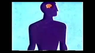 COMO REACCIONA TU CUERPO CON EL MIEDO screenshot 5