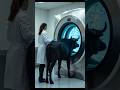 Ultra Realistic AI Factory 😱 | The Most Unreal AI Creation Ever! #ai #shorts #viral