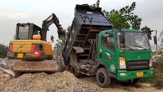 Xe Ô Tô Tải Ben Chở Và Đổ Đất, Máy Xúc DOOSAN DX55W Múc Đất | Excavator Dump Truck | TienTube TV
