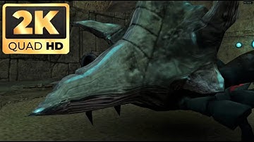 Metroid Prime Plated Beetle Battle 2k 60fps