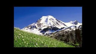 Polka Oberkrainer Oktoberfest Tiroler Harmonika Accordeon Alpen Volksmusik 3 by Pam Kane 208,386 views 6 years ago 8 hours, 49 minutes