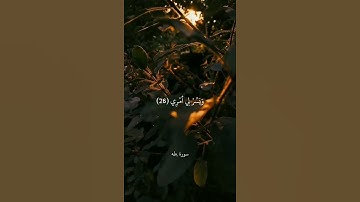 قَالَ رَبِّ اشْرَحْ لِي صَدْرِي || سورة طه || علي جابر