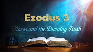 The Book of Exodus | Chapter 3: Moses and the Burning Bush | NIV Audio Bible