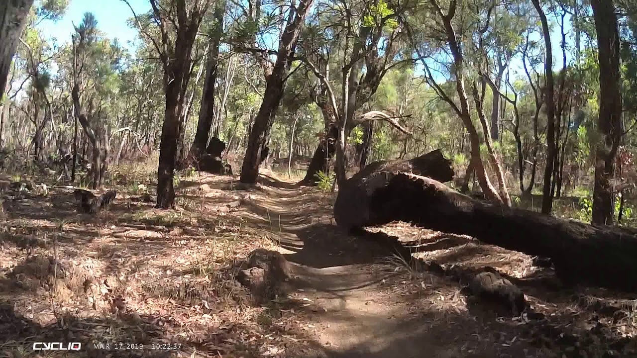 Kalamunda Trail - Goldilocks/Muffintops