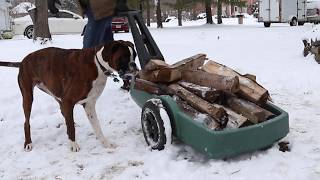 Winter Wonderland Haulin' | Easy haul Flat Bed Cart | American Home by Simplay3