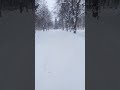 Зима в сердце  #2024#зима#январь
