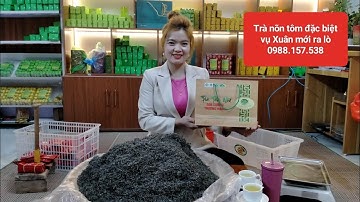 Đặc điểm trà nõn tôm đặc biệt vụ Xuân mới thơm ngon hậu sâu 0988.157.538