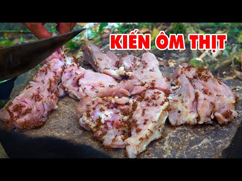 Video Kiến Ôm Thịt Nướng Đá Tảng - Hương Vị Độc Đáo Cần Đưa... - youtube