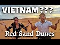 SAND DUNES in Vietnam??? | Red Sand Dunes | Sandboarding | Travel 2022 | Mui Ne Vlog 2 #47 | #NEXT