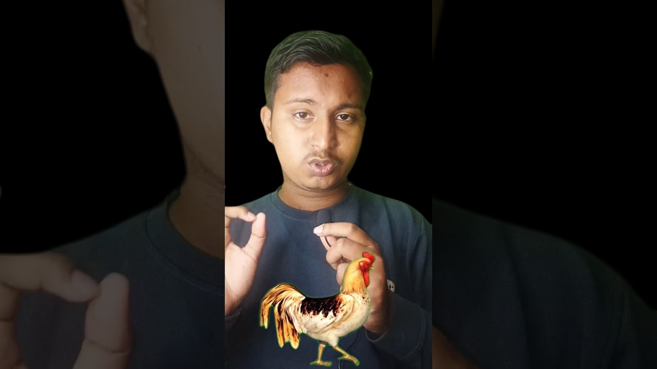 The Headless Chicken That Lived 🐔