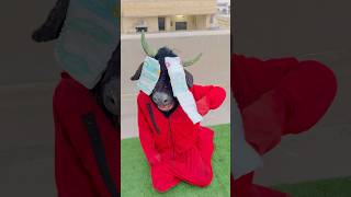 Pray For Palesteeneee 😭🇵🇸|