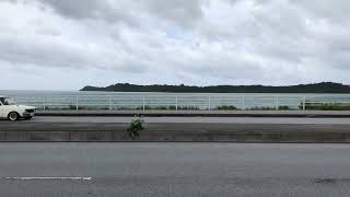 IMG 8311
