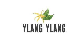 Ylang Ylang Production