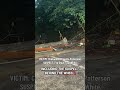 Suspect crashes into gas station