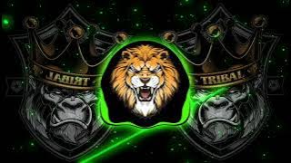 Chhora System Padega || Dj Remix || Edm Drop Circuit Mix || Dj Swam Gzb || Dj PS Rewari Se DJ Koki 