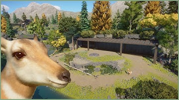 🦌Simple Pronghorn Antelope habitat | Fjevær Zoo | Planet Zoo | speedbuild🌳