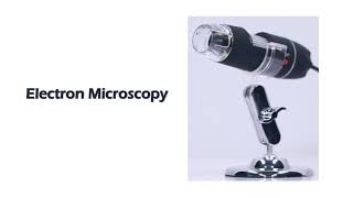 Famous 1000X 8 LED USB2 0 Digital Microscope Endoscope Biological Zoom Camera with Bracket Wealth