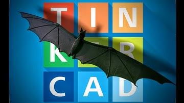 Tinkercad Beginner Tutorial ( Part 28 ) Bat Design and Print! 3D Printing Model!