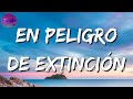 🎵🎵La Adictiva - En Peligro De Extinción (Letra\Lyrics)