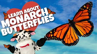 Monarch Butterflies: Fun Facts For Kids
