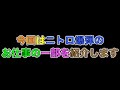 【ニトロ奮闘記】川にも入るし、ただ空気を入れるだけだし、椅子を作るだけ。